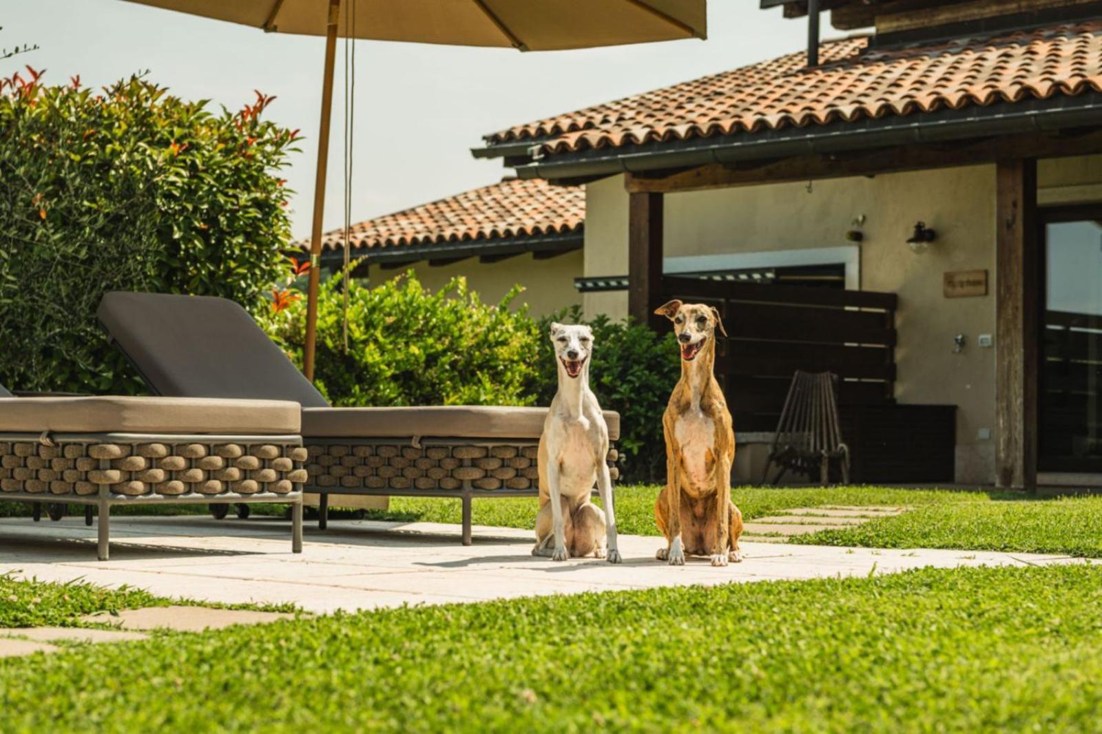Lejlighedshotel Privilegium